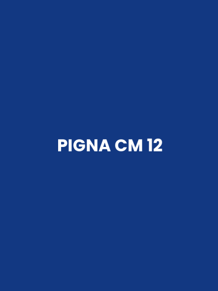 PIGNA CM 12