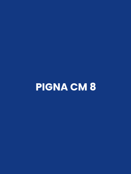 PIGNA CM 8