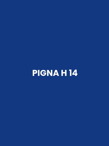 PIGNA H 14