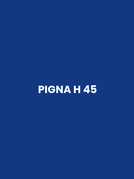 PIGNA H 45