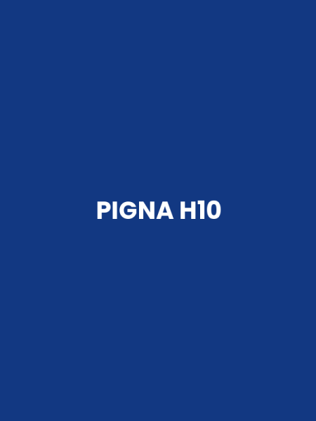 PIGNA H10