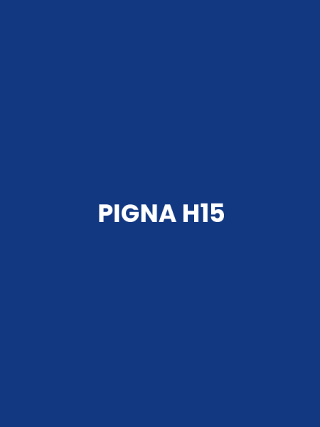 PIGNA H15