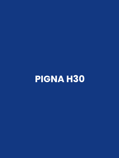 PIGNA H30
