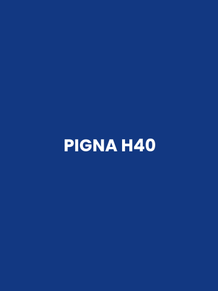 PIGNA H40