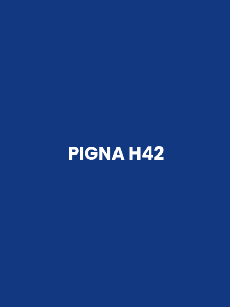 PIGNA H42