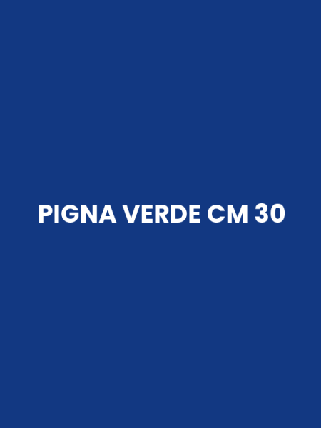 PIGNA VERDE CM 30