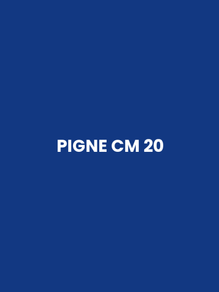 PIGNE CM 20