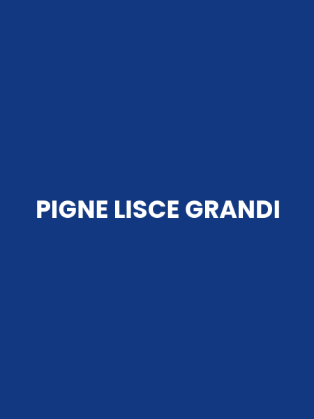 PIGNE LISCE GRANDI