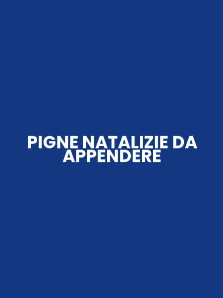 PIGNE NATALIZIE DA APPENDERE