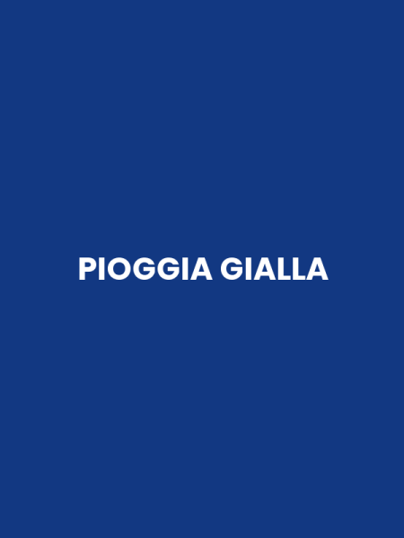 PIOGGIA GIALLA