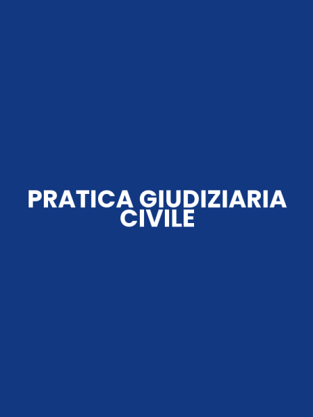PRATICA GIUDIZIARIA CIVILE