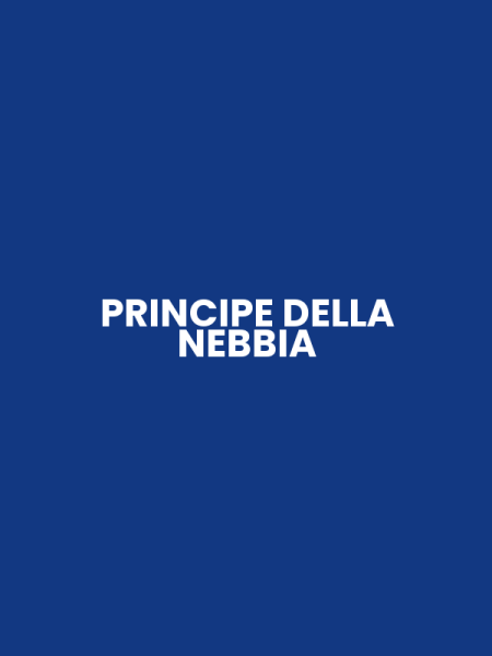 PRINCIPE DELLA NEBBIA