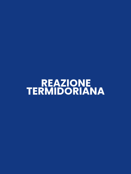 REAZIONE TERMIDORIANA