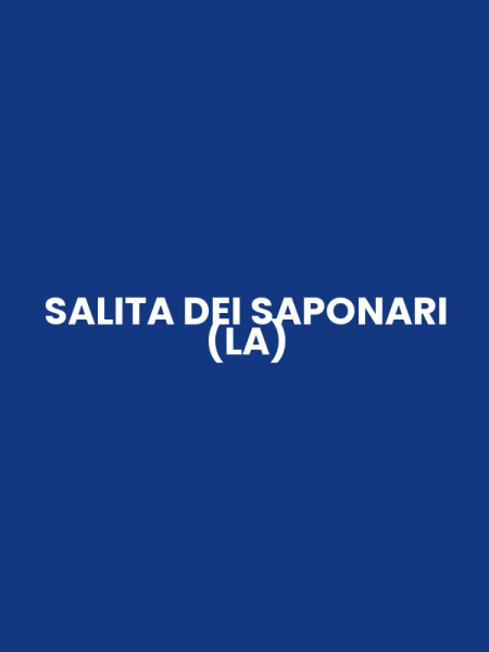SALITA DEI SAPONARI (LA)