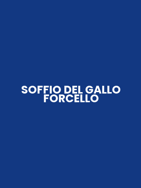 SOFFIO DEL GALLO FORCELLO