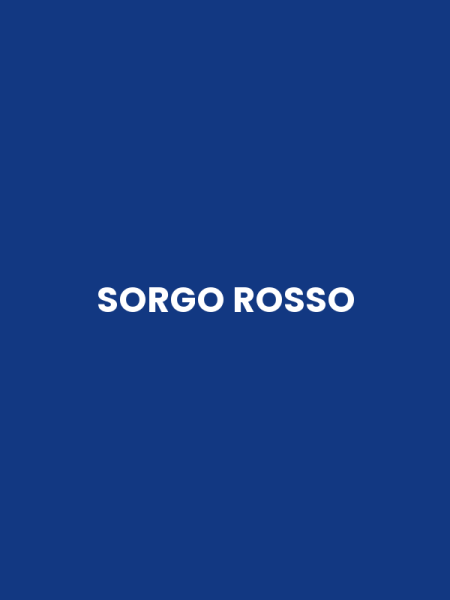 SORGO ROSSO
