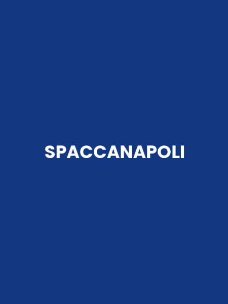 SPACCANAPOLI