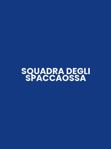 SQUADRA DEGLI SPACCAOSSA