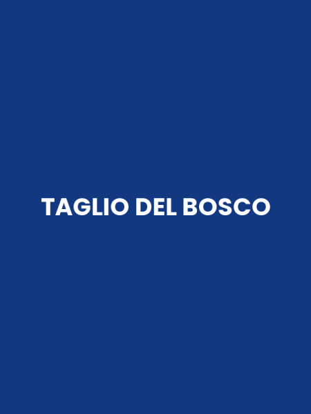 TAGLIO DEL BOSCO