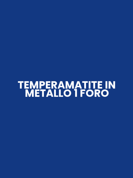TEMPERAMATITE IN METALLO 1 FORO
