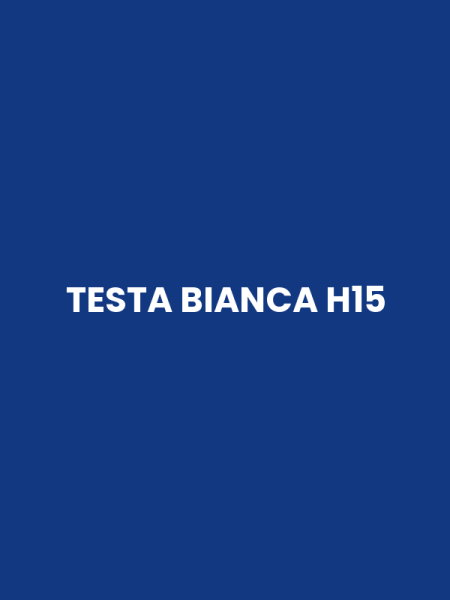 TESTA BIANCA H15
