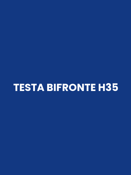 TESTA BIFRONTE H35