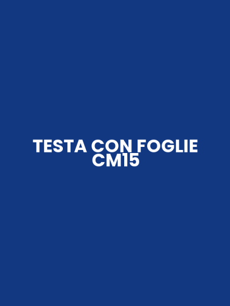 TESTA CON FOGLIE CM15