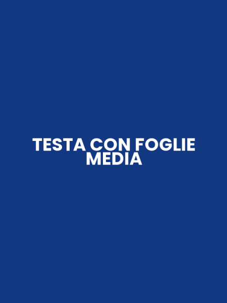 TESTA CON FOGLIE MEDIA