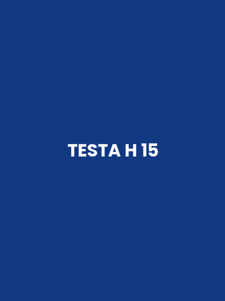 TESTA H 15