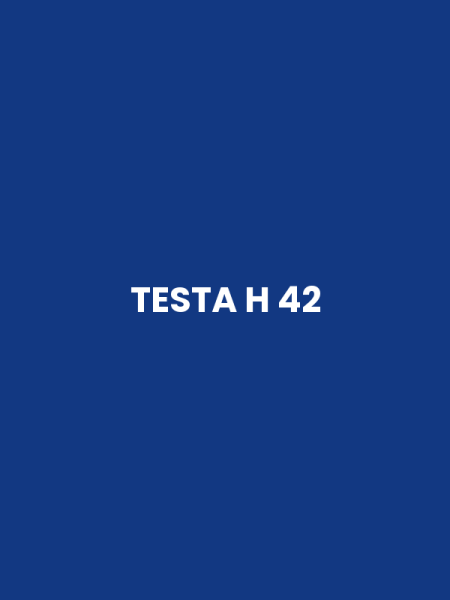 TESTA H 42