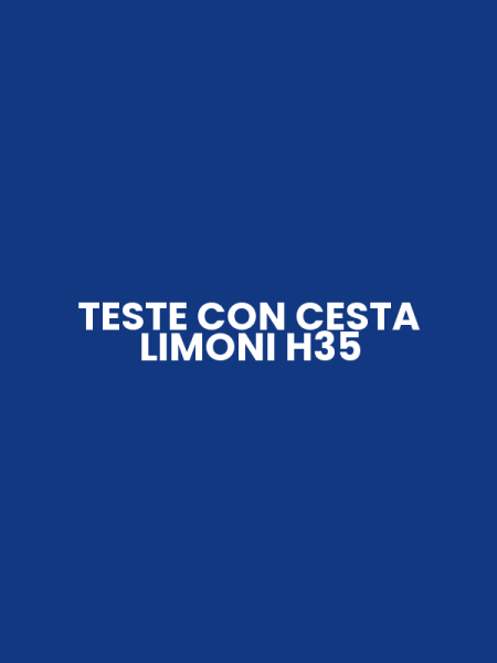 TESTE CON CESTA LIMONI H35