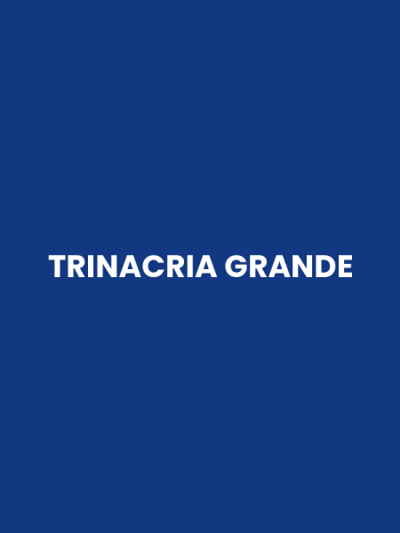 TRINACRIA GRANDE
