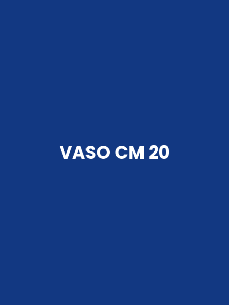 VASO CM 20