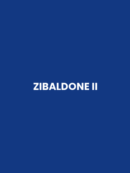 ZIBALDONE II